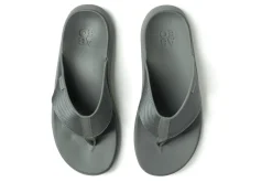 ABEO Alpha Metatarsal