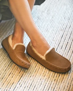 ABEO Amble Slipper