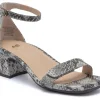 ABEO Avenue Strap