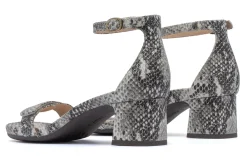 ABEO Avenue Strap