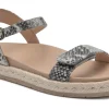 ABEO Isle Strap Metatarsal