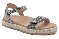 ABEO Isle Strap Metatarsal