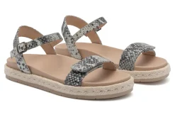 ABEO Isle Strap Metatarsal