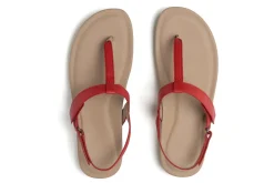 ABEO Oasis T Strap