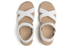 ABEO Riviera Stretch Metatarsal