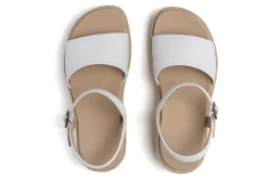 ABEO Solstice Buckle Sandal Metatarsal