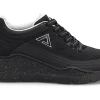 Align Lavoy
