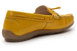 Ara Amarillo