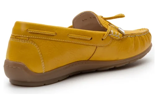 Ara Amarillo