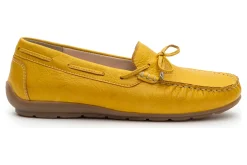 Ara Amarillo