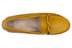 Ara Amarillo