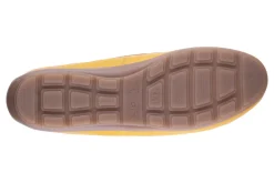 Ara Amarillo