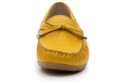 Ara Amarillo