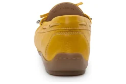 Ara Amarillo
