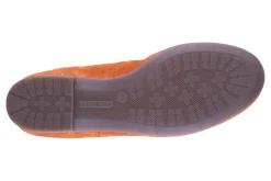 Ara Scout
