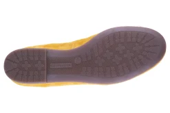 Ara Scout