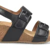 Comfortiva Erlina