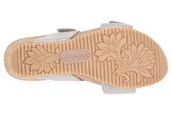 Comfortiva Erlina