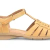 Comfortiva Persa