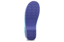 Dansko Pro