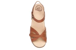 Dansko Season