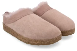 Haflinger Snowbird