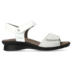 Mephisto Pattie