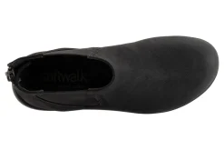 Softwalk Albany