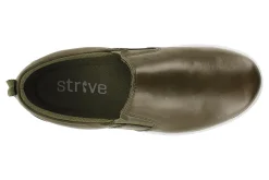Strive Florida