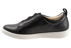 Trotters Avrille