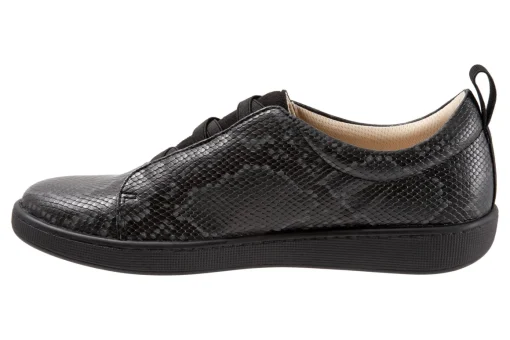 Trotters Avrille