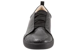 Trotters Avrille