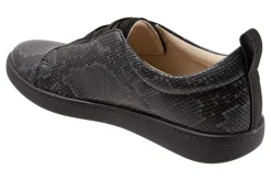 Trotters Avrille