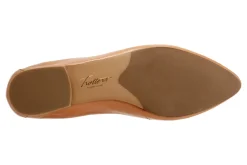 Trotters Emotion