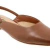 Trotters Holly