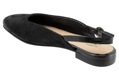 Trotters Holly