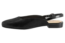 Trotters Holly