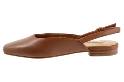 Trotters Holly