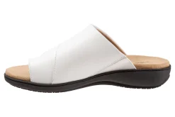 Trotters Regina