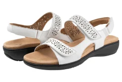 Trotters Romi