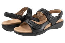 Trotters Romi