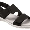 Trotters Tatia