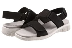 Trotters Tatia