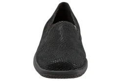Trotters Universal