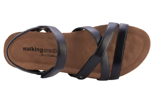 Walking Cradles Pool
