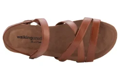 Walking Cradles Pool
